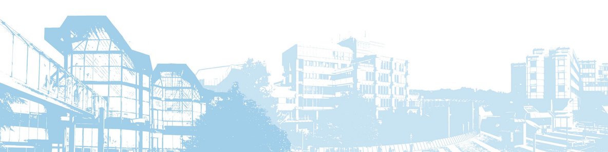 Research seminar “Projectification of work: Research results and future challenges” Trier University